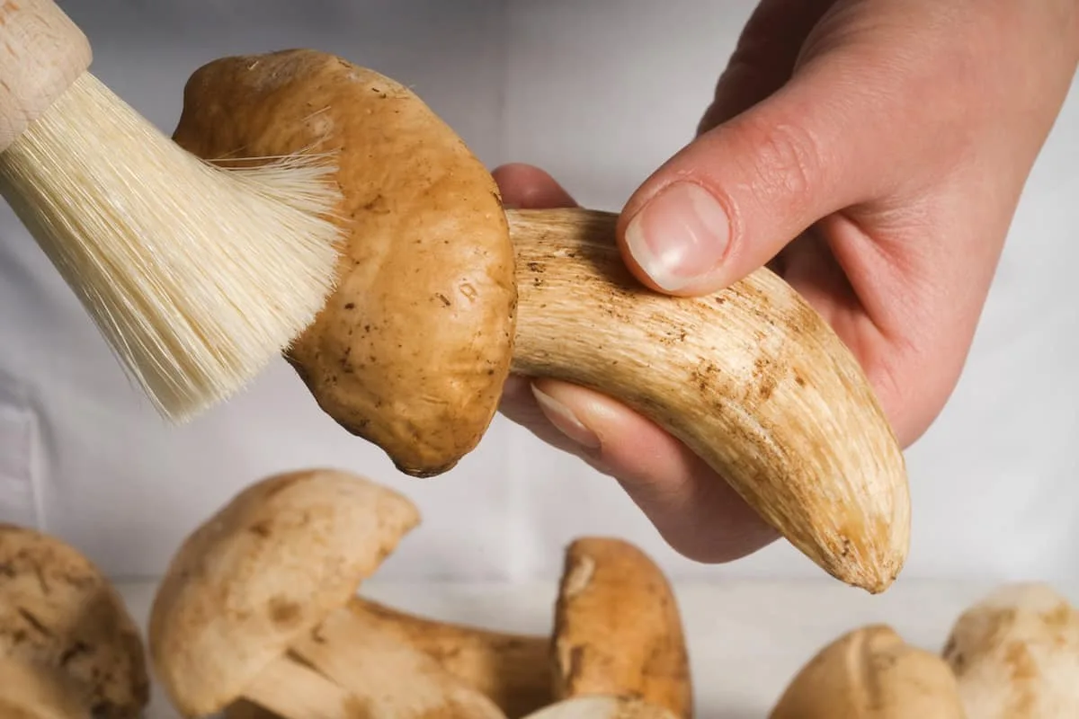 lavar tus hongos y setas ayudará a evitar el clostridium botulinum