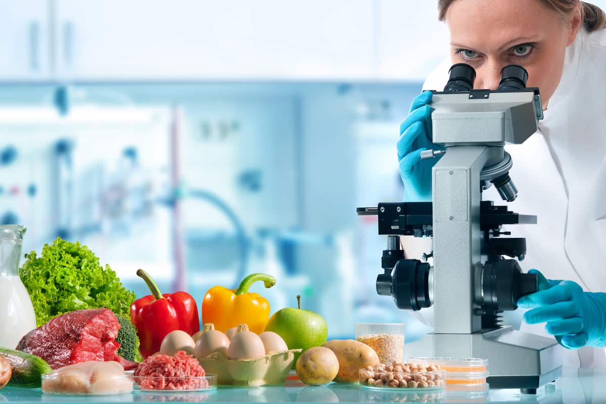 La inocuidad de los alimentos es un proceso esencial en la producción y preparación de comida