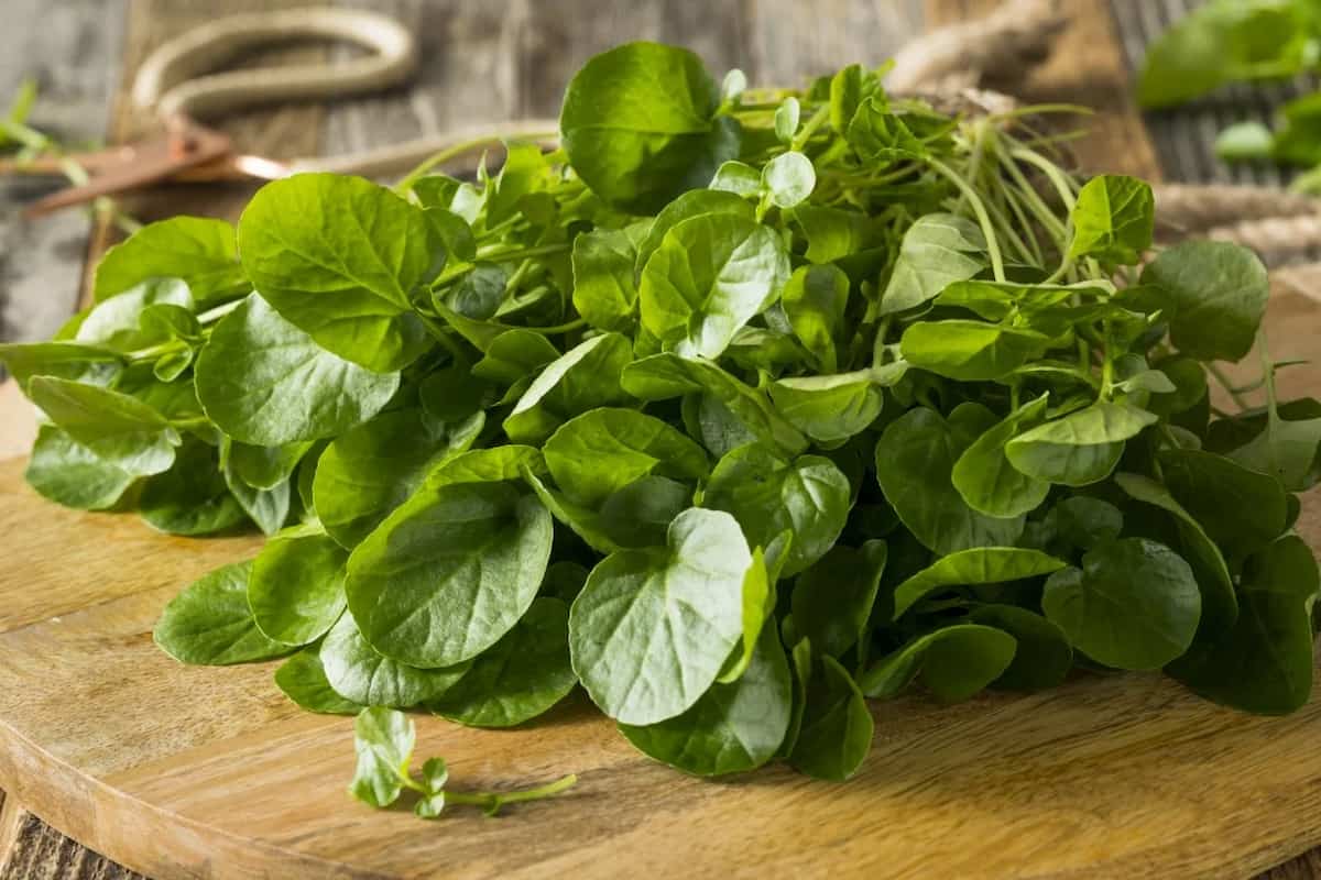 qué son y por qué son tan valiosos