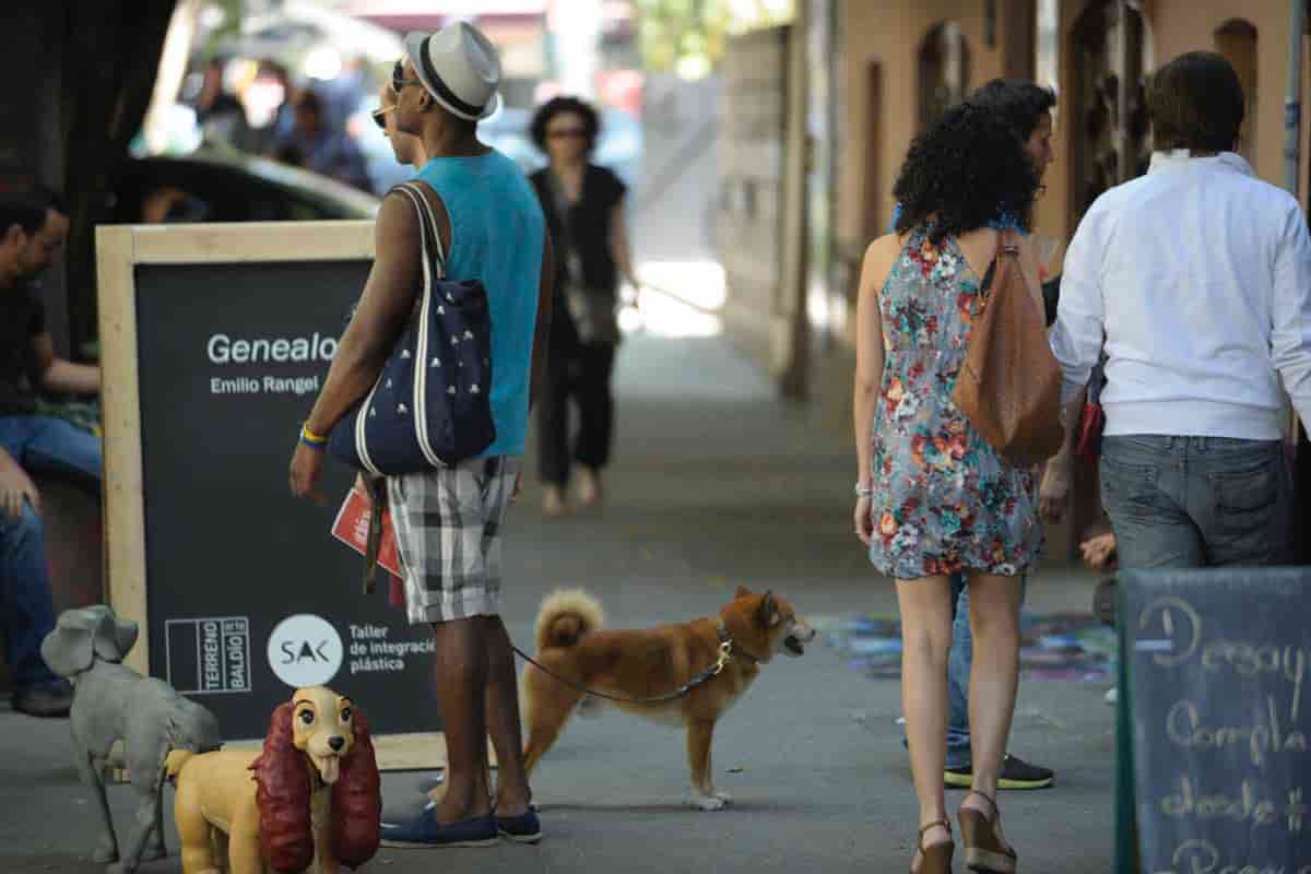 Colonia Roma y Condesa, son dos espacios completamente gentrificados