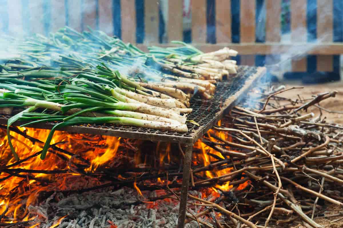 de dónde son los calçots y cómo se preparan 