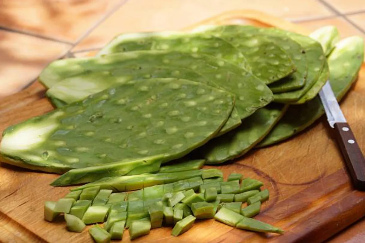 Grandes beneficios que nos aportan los nopales a nuestra salud como regular el azúcar y la circulación en la sangre / Foto: iStock
