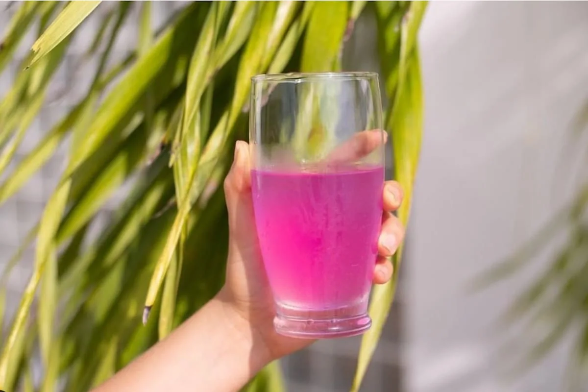 Foto: Agua de Bugambilia con chía/ HOMU