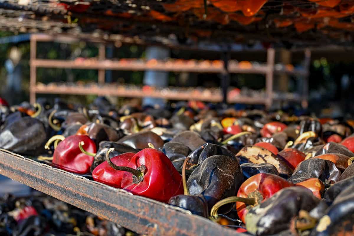 qué chile se usa para el mole negro oaxaqueño
