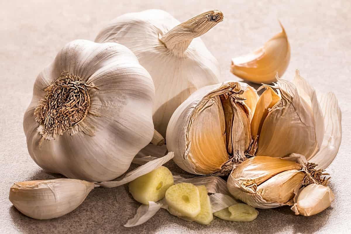 recetas con ajo