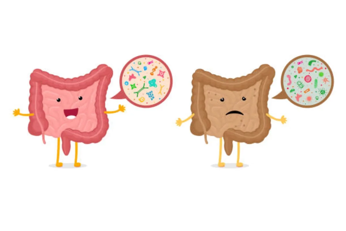 Alimentos y bebidas que te ayudarán a tener una microbiota sana. / Foto: iStock