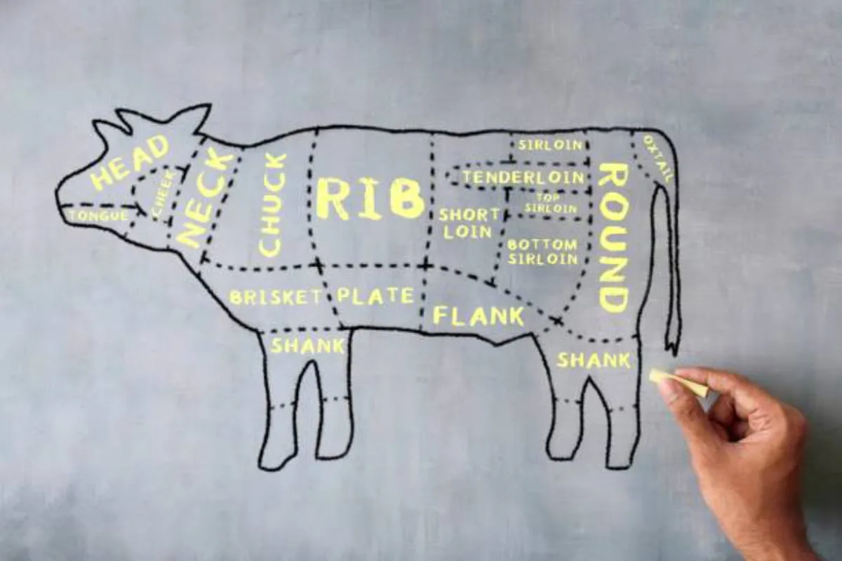 La carne deshebrada viene a partir del brazo entre la 2da y 5ta costilla. / Foto: iStock