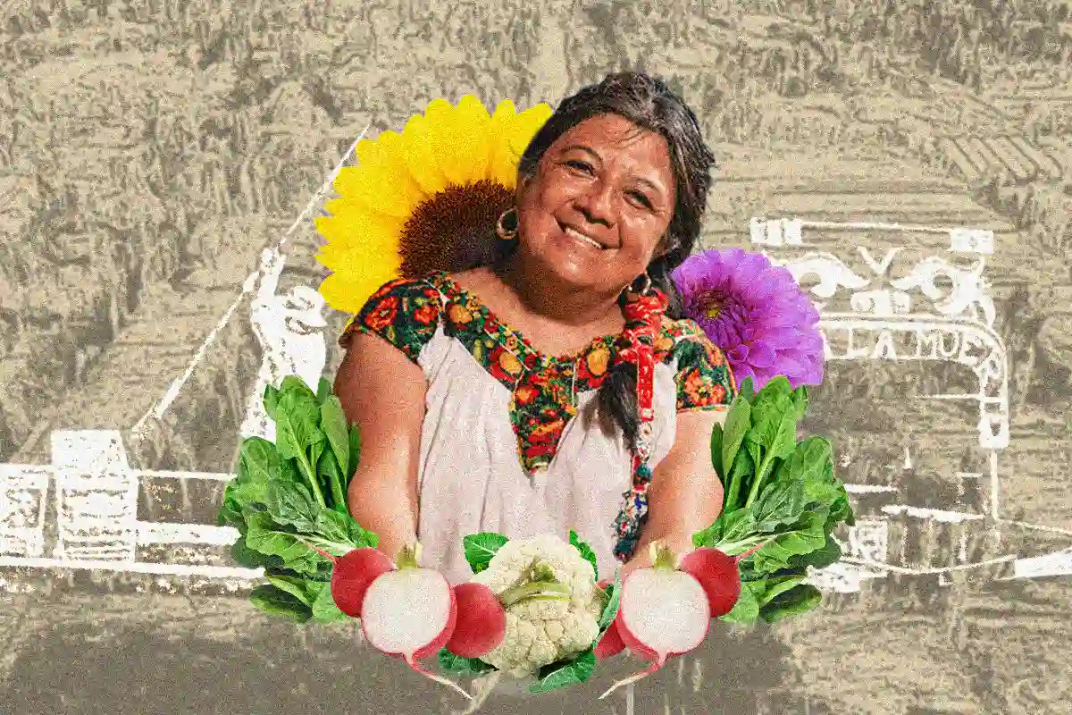 cocinera tradicional Ciudad de México