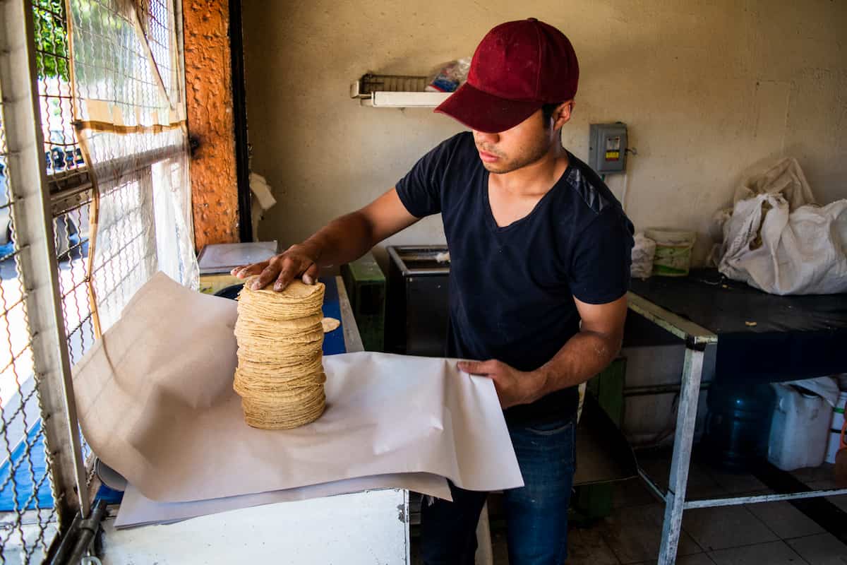 Las tortillerías mexicanas se comienzan a modernizar.