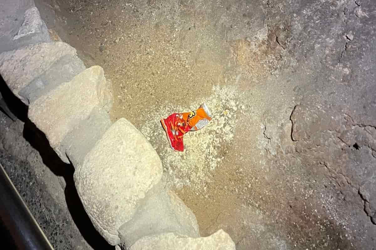 Bolsa de Cheetos altera ecosistema