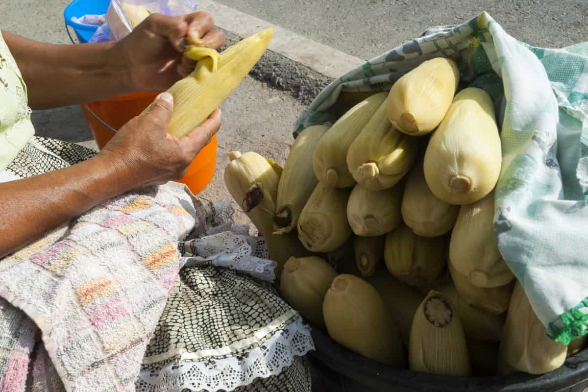 Receta de panqué de elote sin harina.