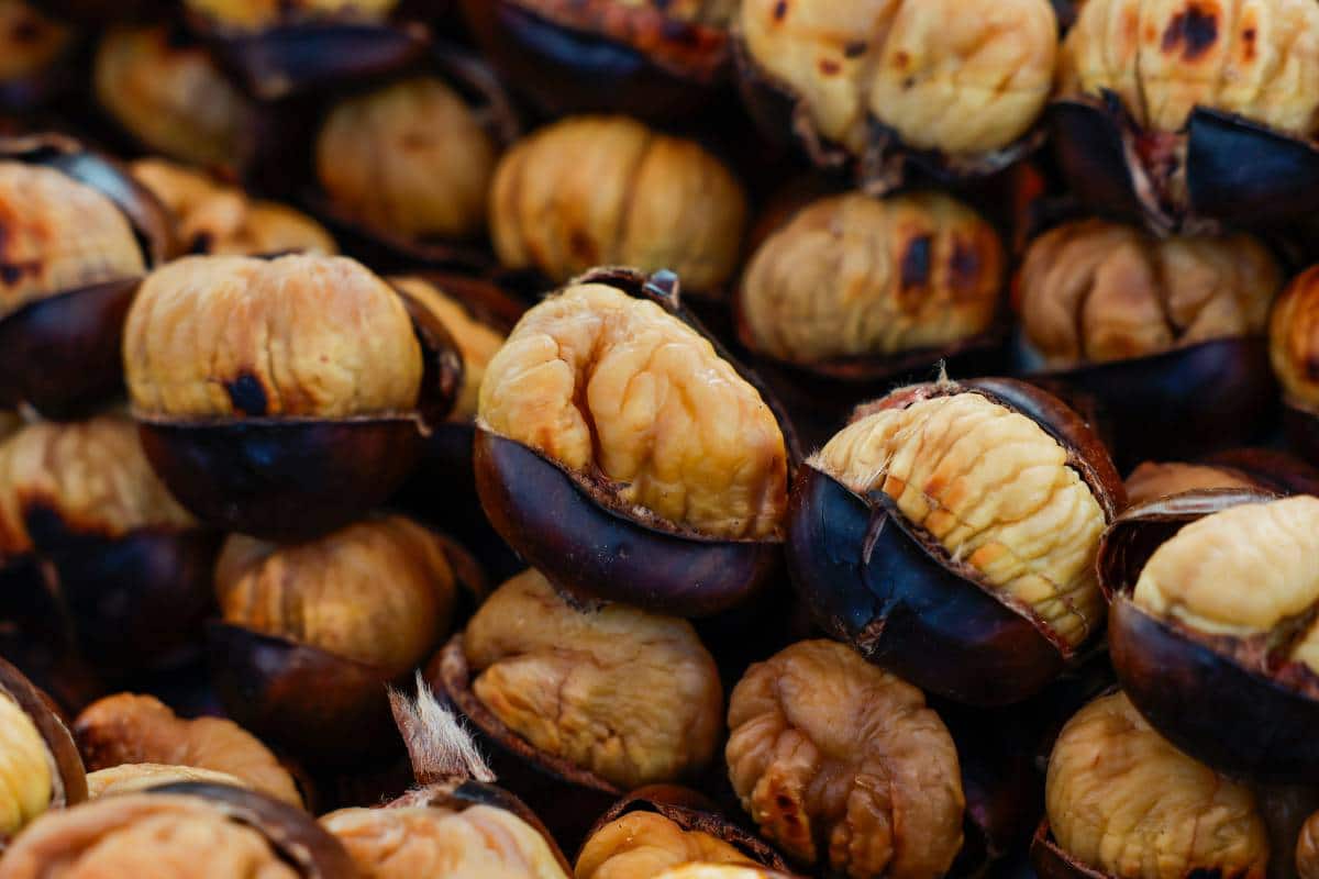 La castaña y su protagonismo en la gastronomía de otoño e invierno.