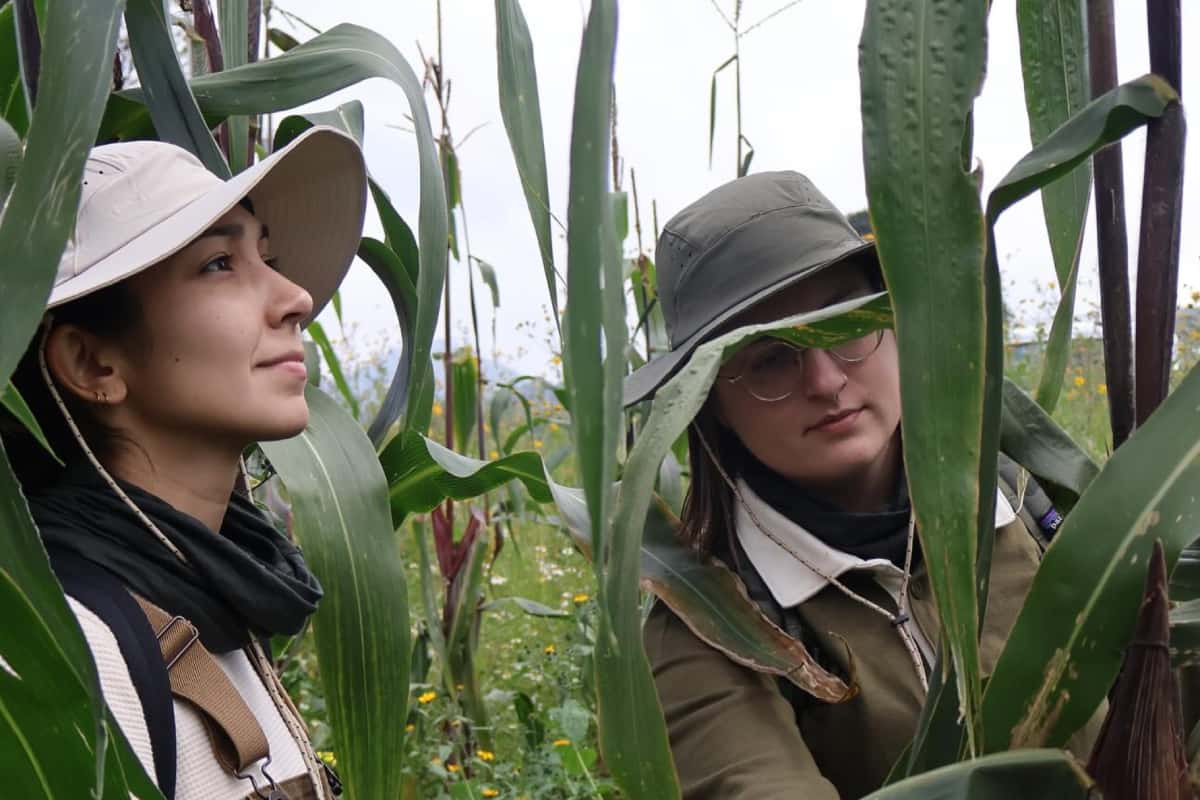 Milpas agroecológicas del Mercado Alternativos MX