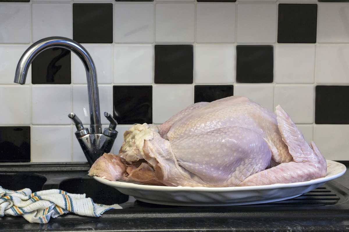 Cuanto tiempo dura el pavo congelado.
