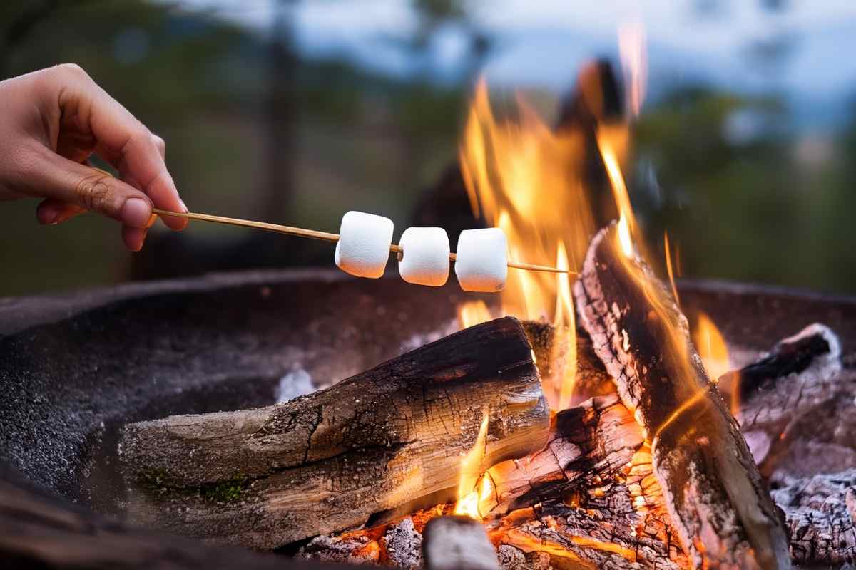 Bombones o malvaviscos