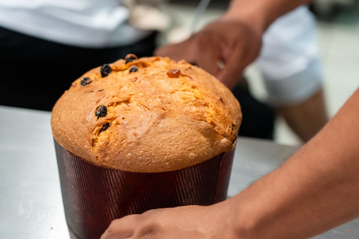 panettone origen e historia