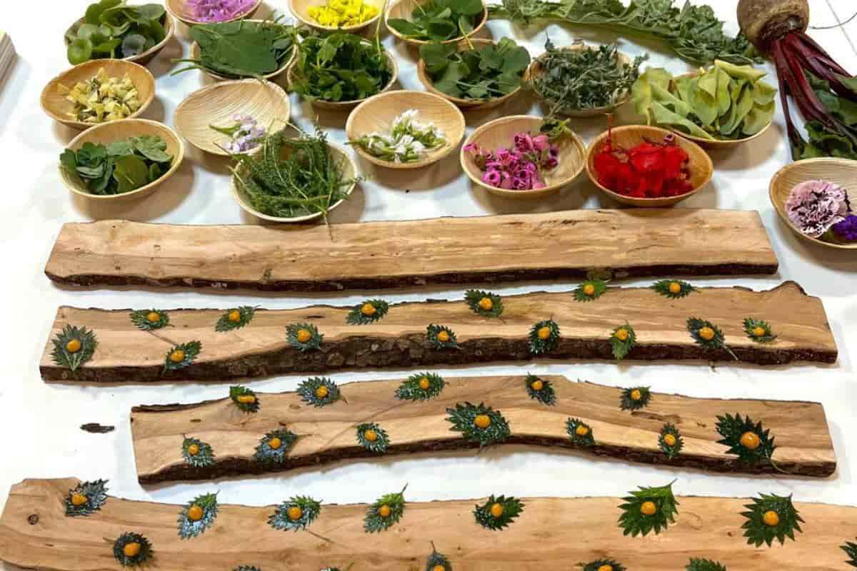 El Herbario Comestible y la hermosa fusión entre la botánica, el arte y la cocina.