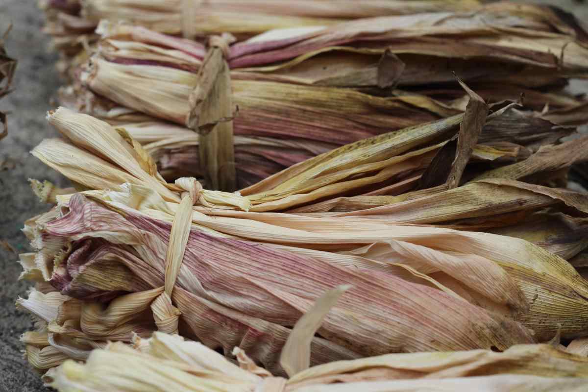 Lavar bien las hojas de maiz para conseguir unos buenos tamales