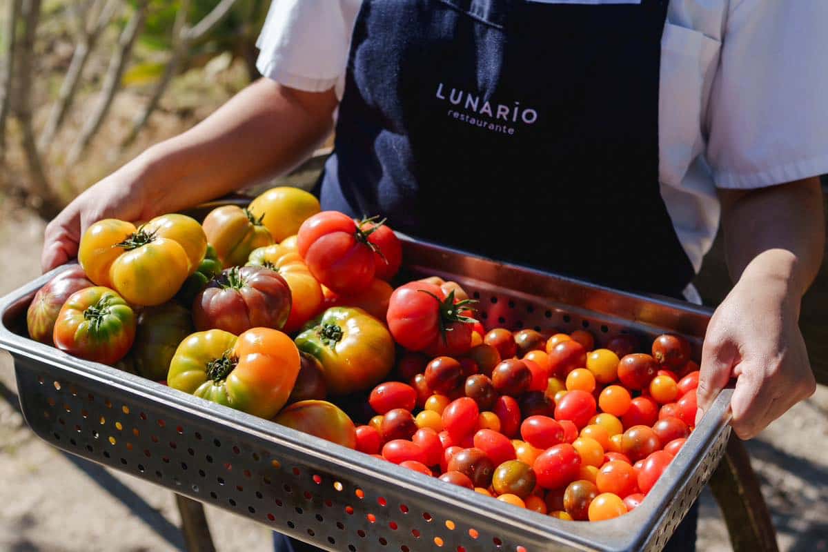 cocina de baja california