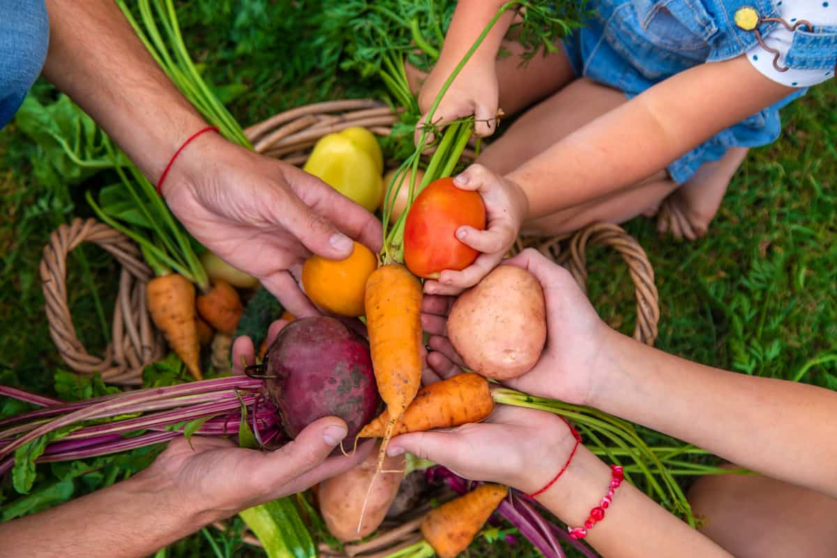 sustentabilidad cocina tendencia 2025