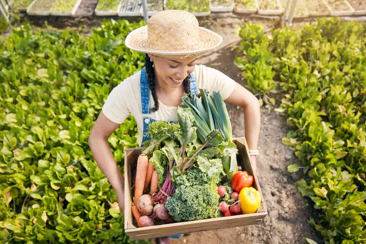 tendencias gastronómicas para el 2025