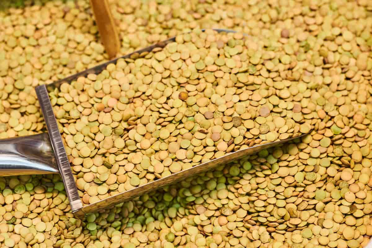 Lentejas en olla exprés