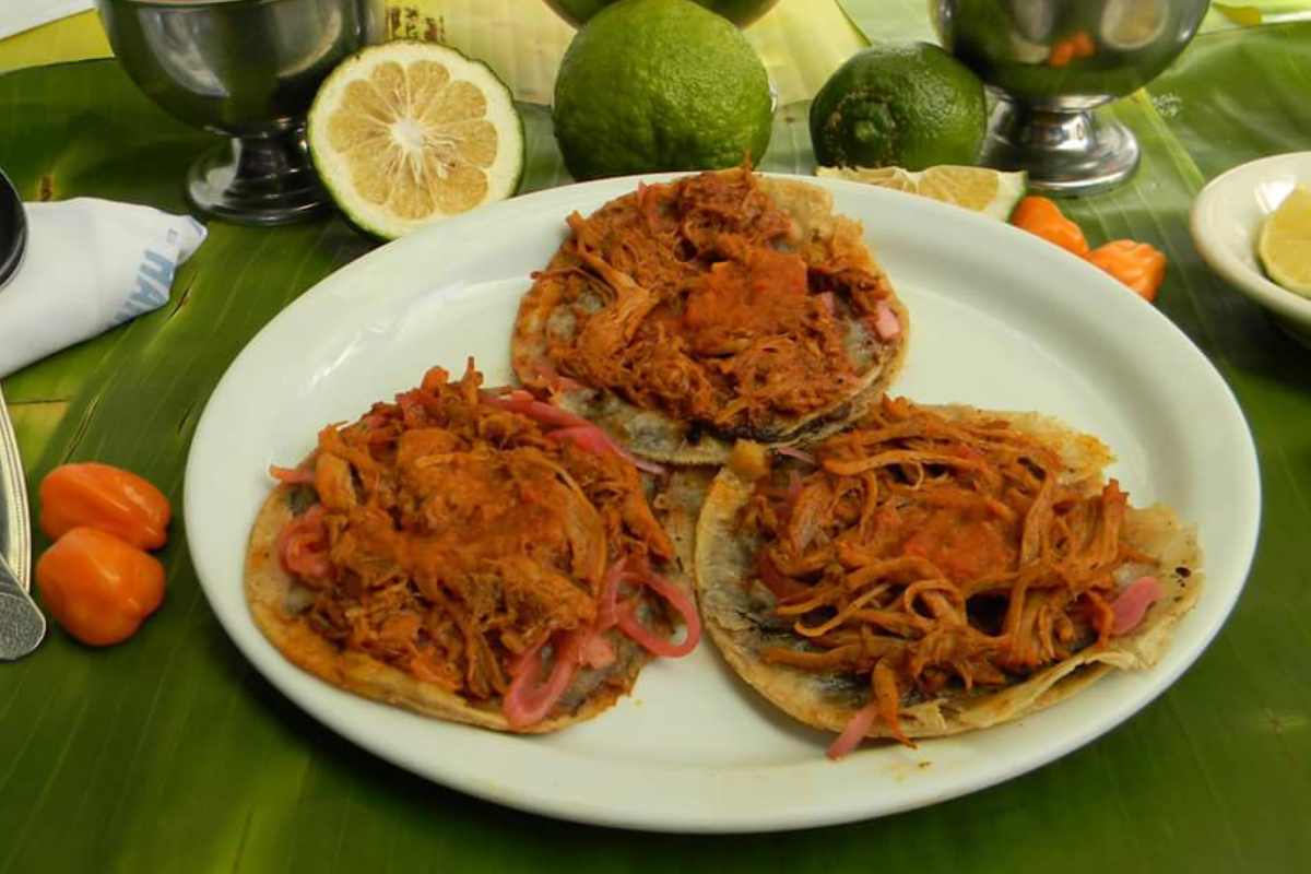 Panuchos de cochinita
