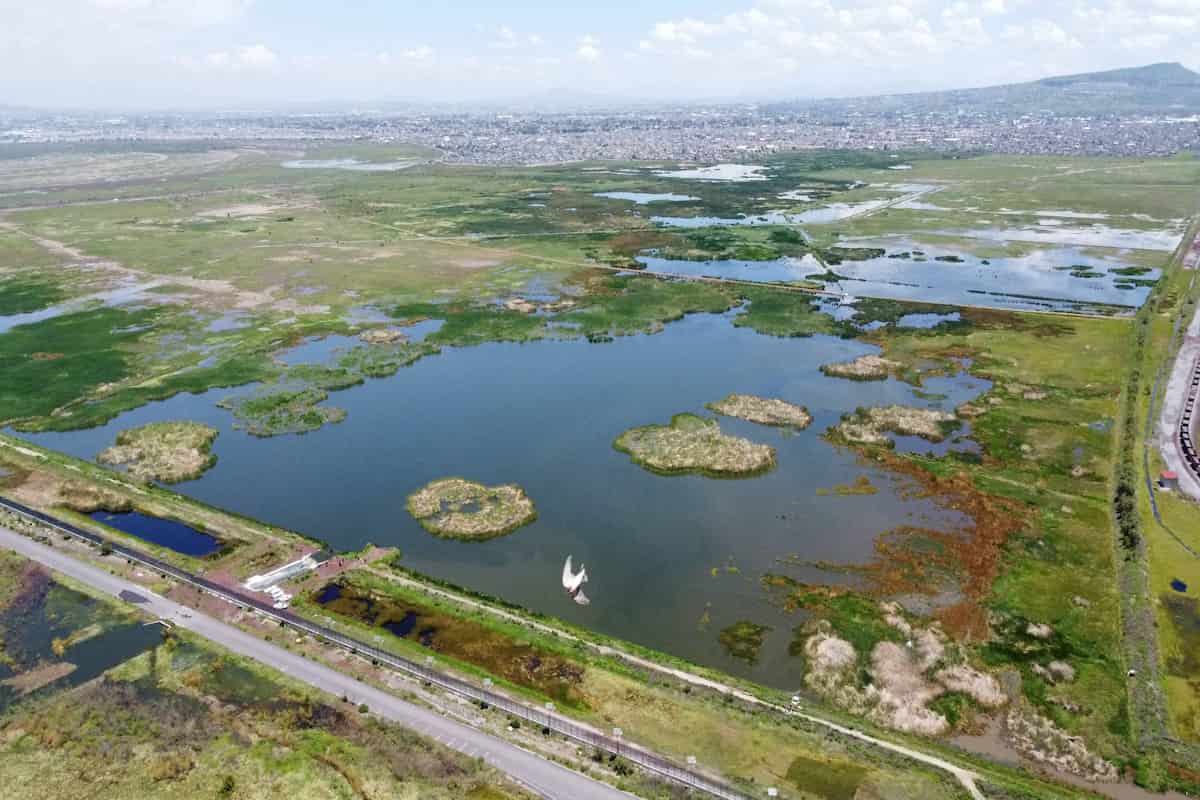 Parque Ecológico Lago de Texcoco