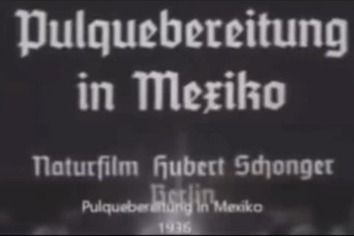 el pulque en México