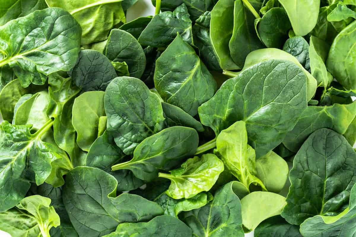 asé de debe guardar la espinaca, lechuga y otras hojas verdes en el refrigerador