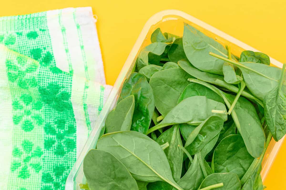 cómo conservar espinacas en el refrigerador