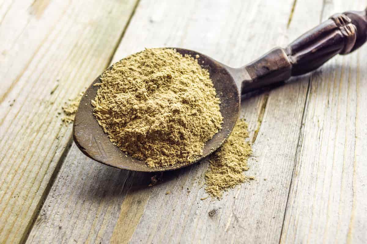 la raíz de kava se consume por sus propiedades medicinales y por ser una bebida recreativa