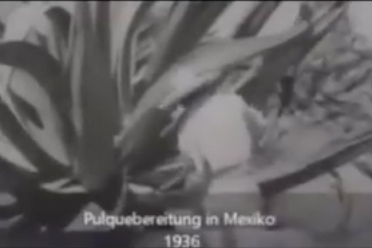 documental pulque en México Hitler