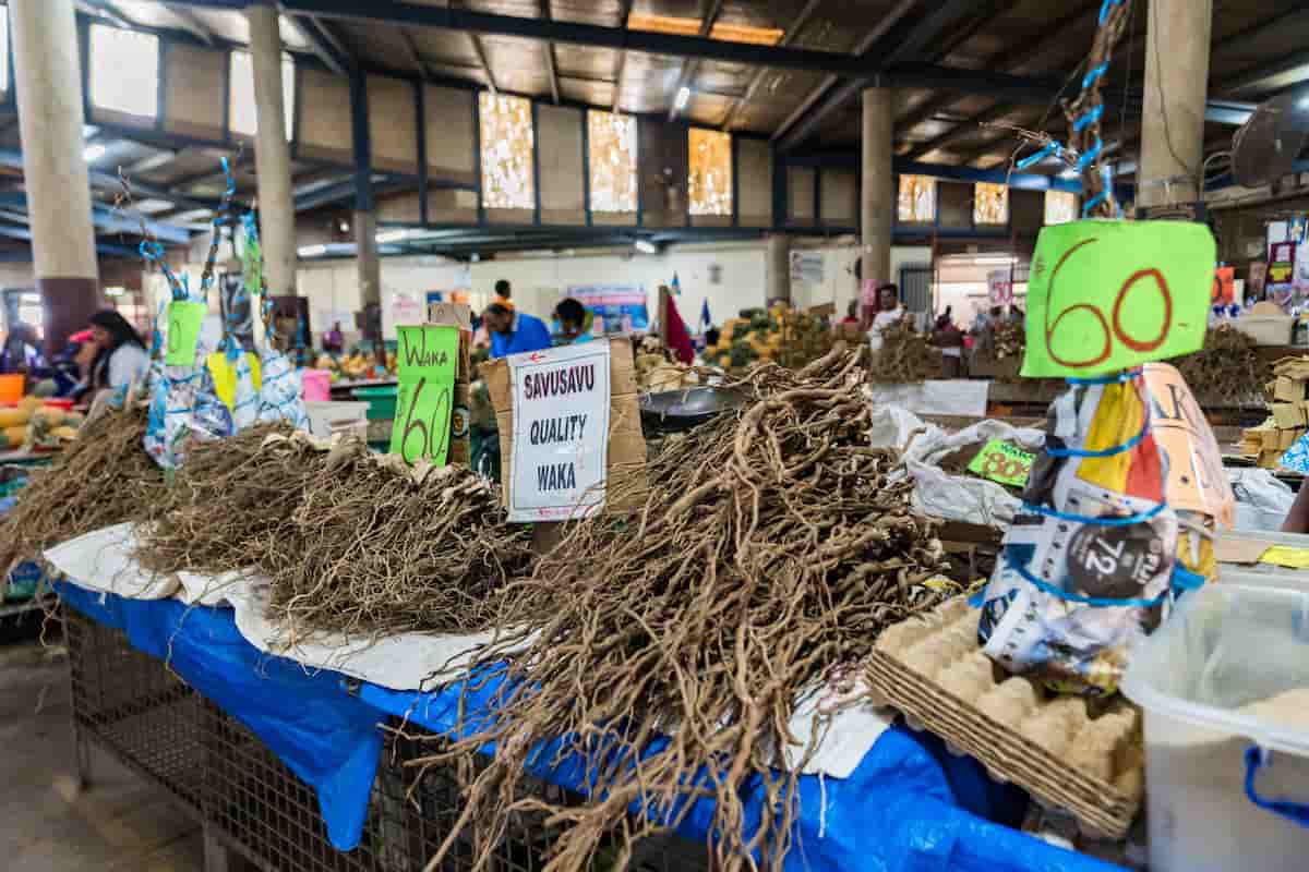 cuáles son las propiedades de la kava