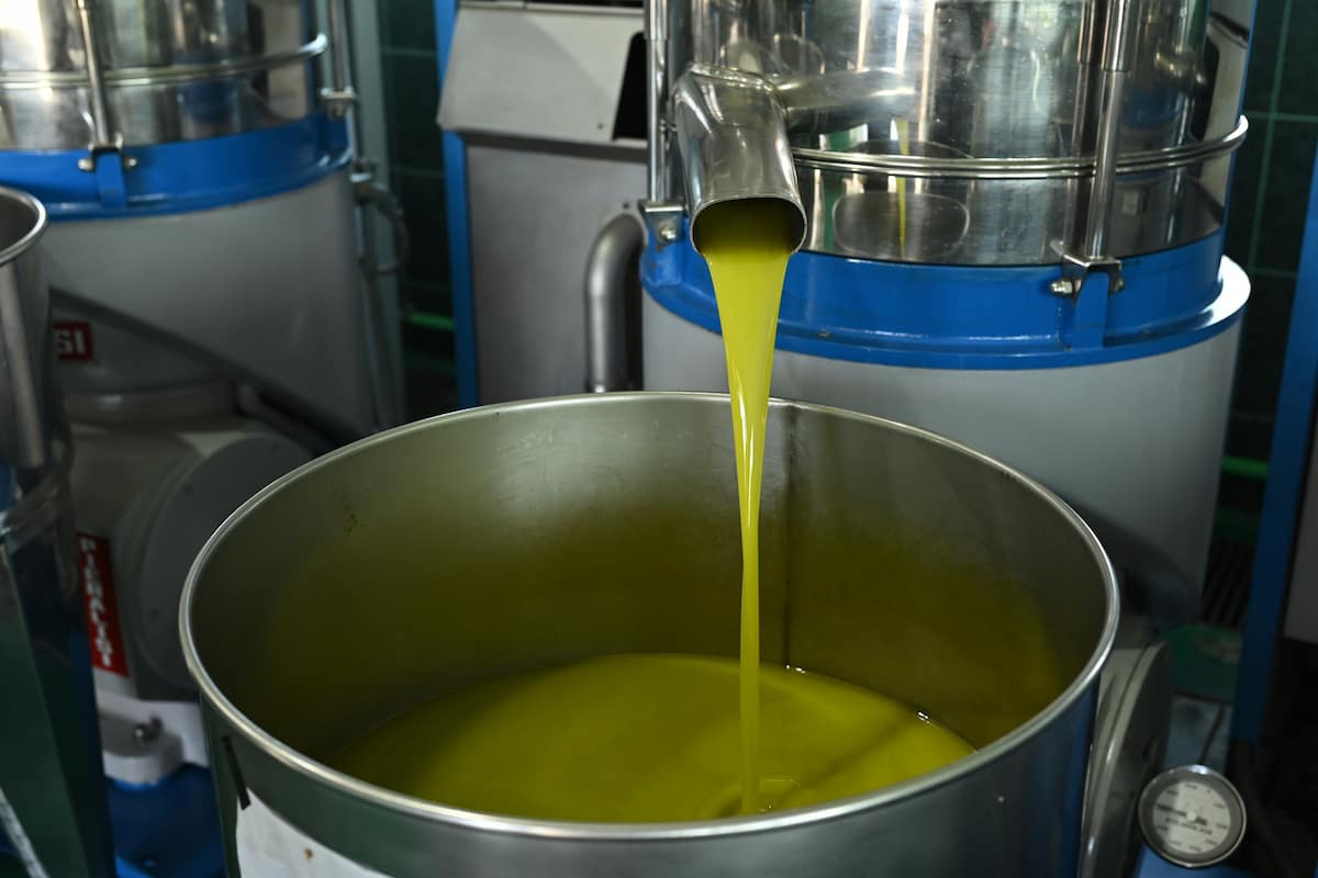 aceite lampante
