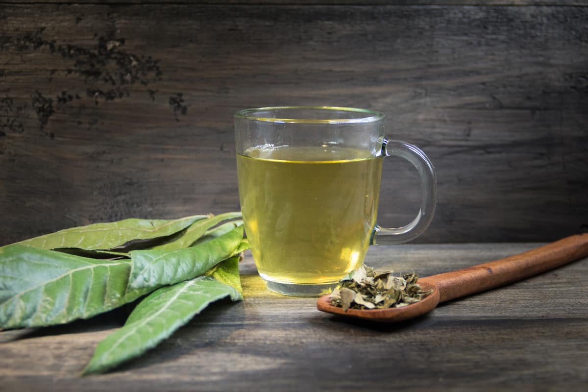 té de níspero diabetes