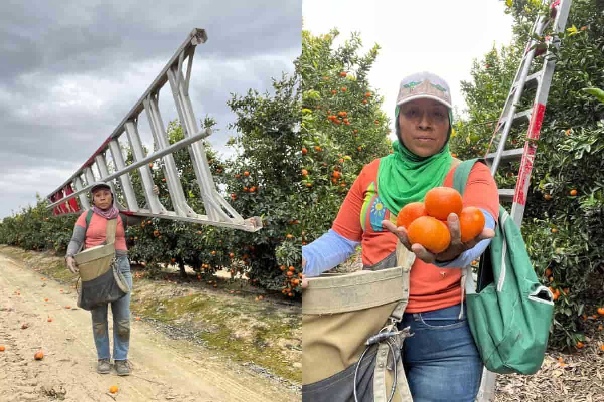 Migración hacia EUA 