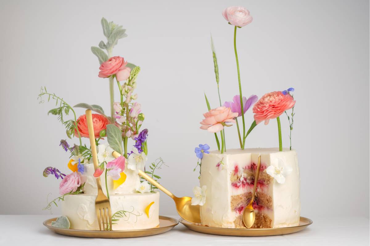 pastel plant-based