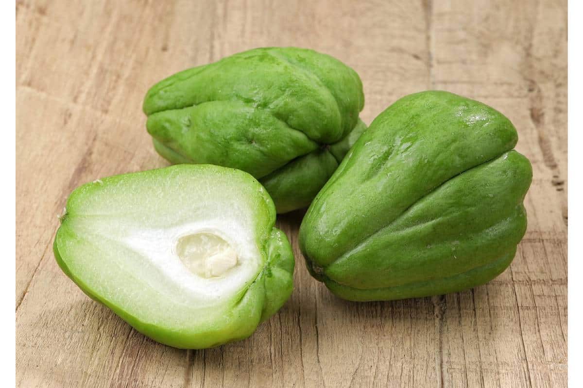 el chayote es uno de los alimentos prehispánicos de México más comunes