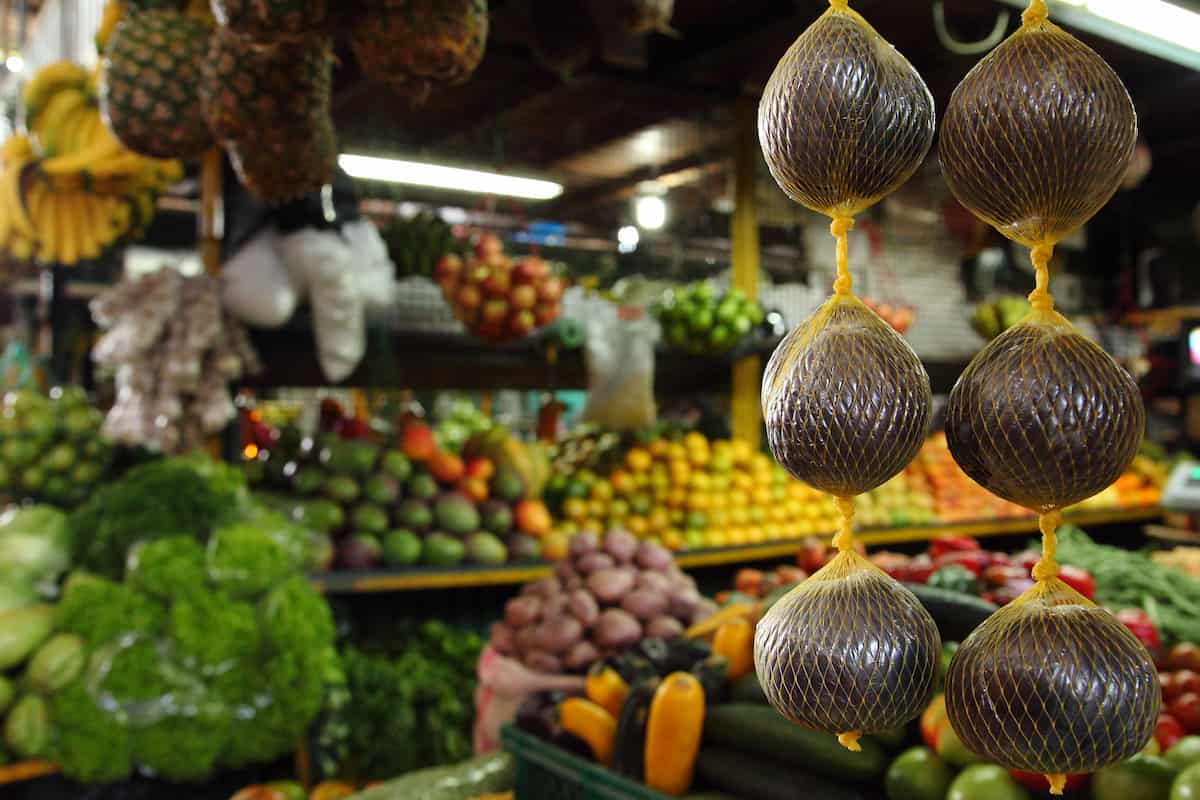 el borojó es considerada una fruta afrodisíaca
