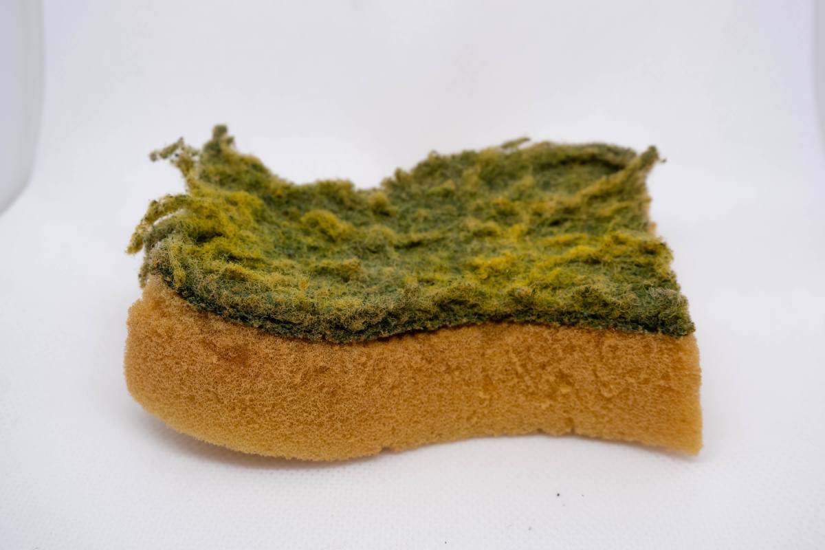 esponja de cocina