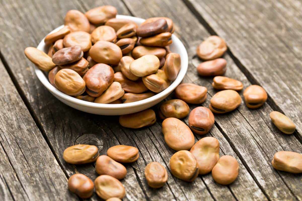 Receta de habas secas
