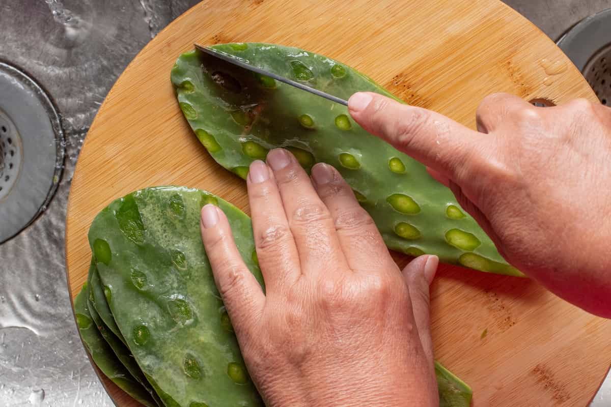 nopal beneficios baba