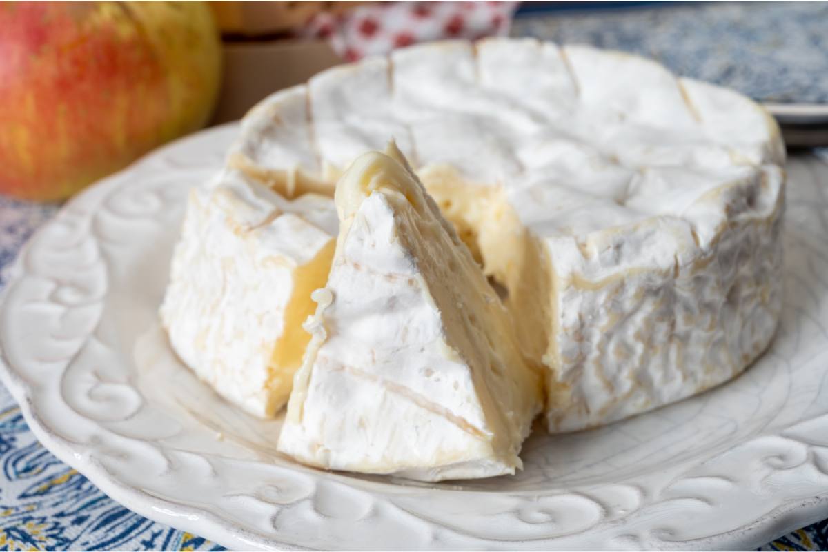 Camembert es uno de los quesos sin lactosa
