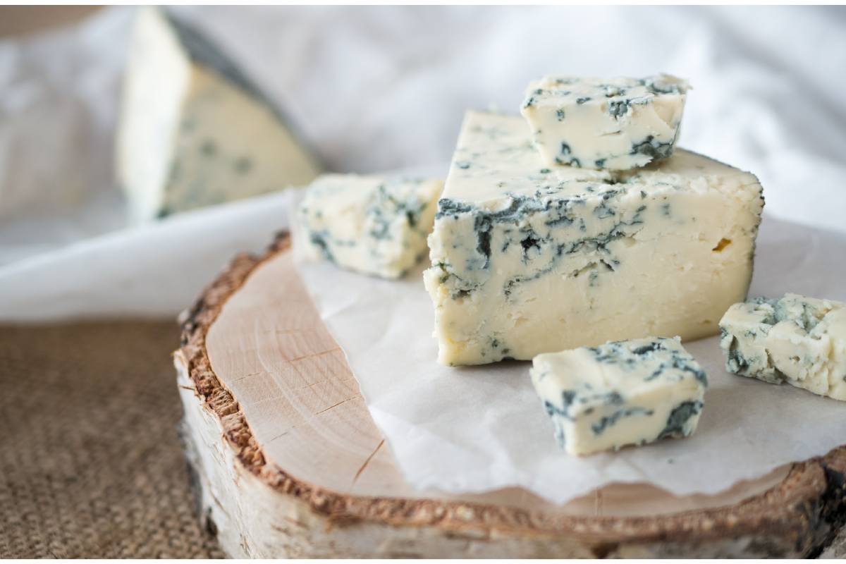 bloque de queso azul 
