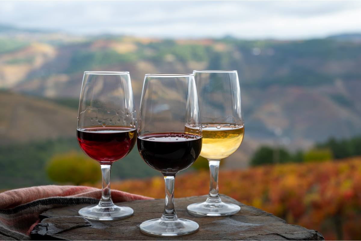 Oporto es uno de los vinos fortificados