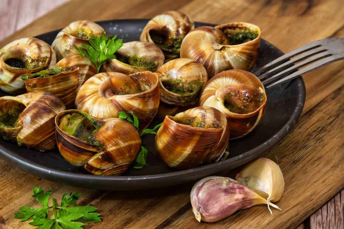 escargots