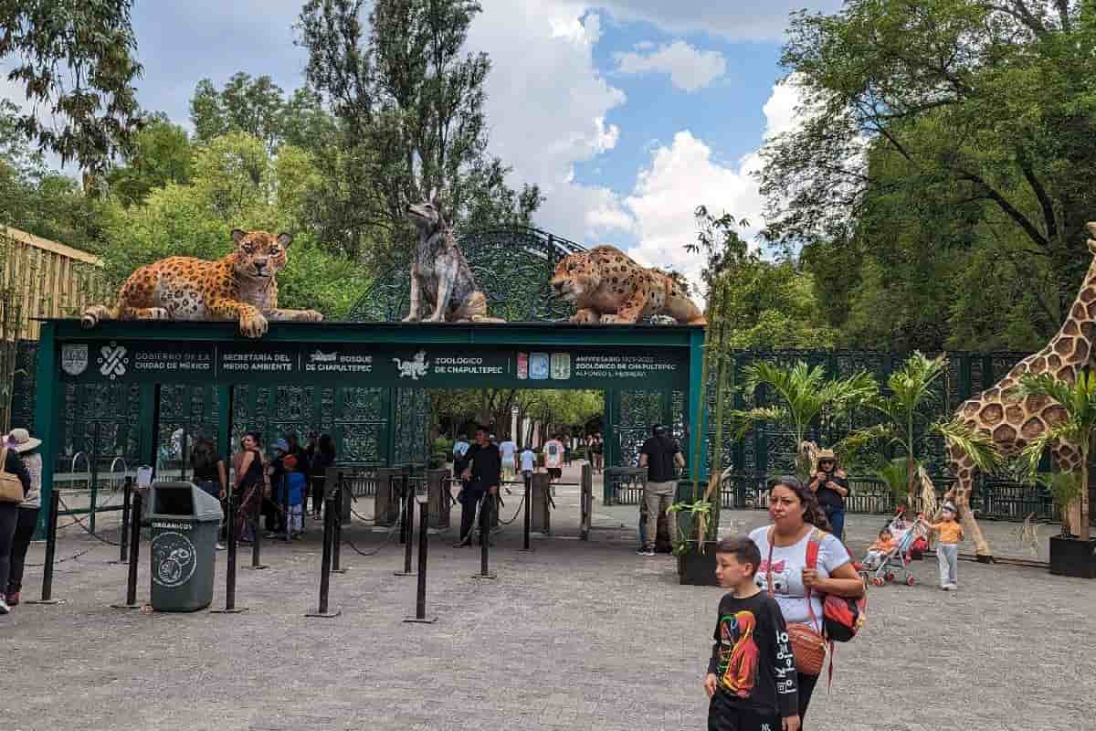 dónde comer en Chapultepec
