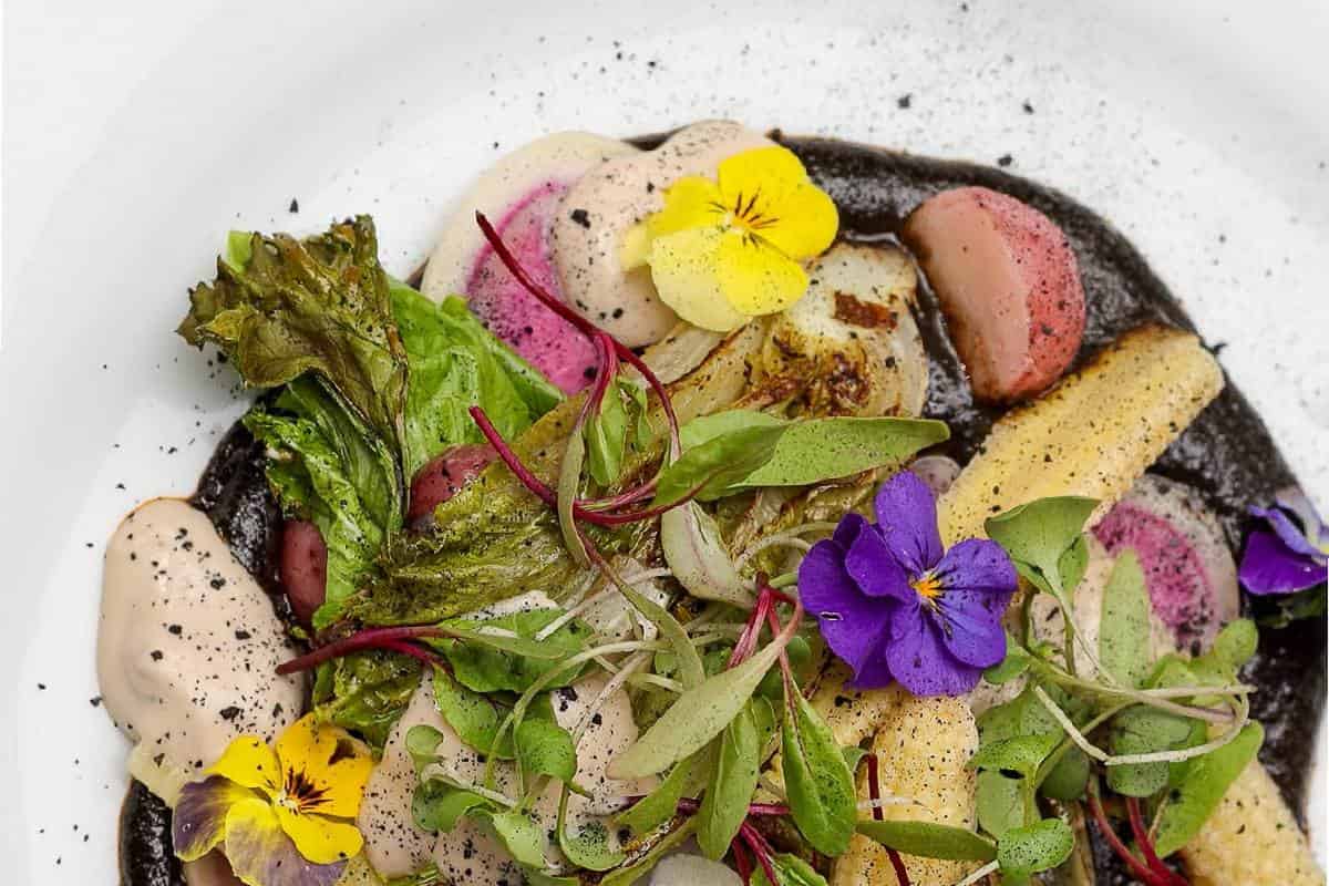 platillo de sala gastronómica en chapultepec