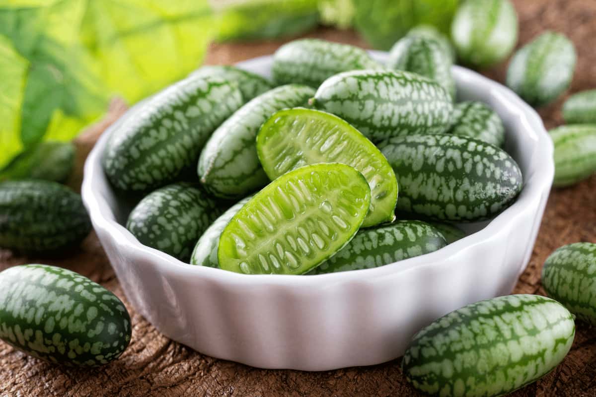 qué es el cucamelon